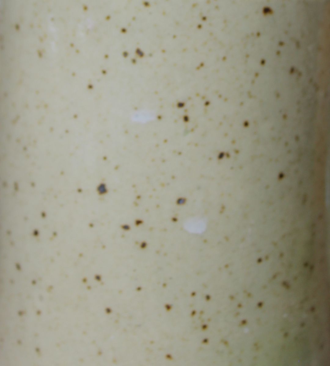 Taza Meridiano Moteada