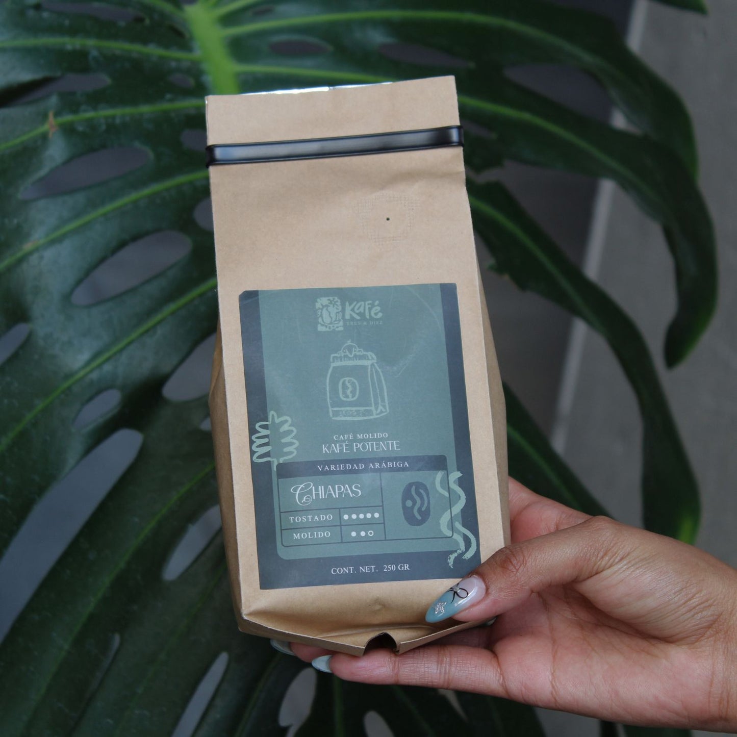 Kafé Palenque