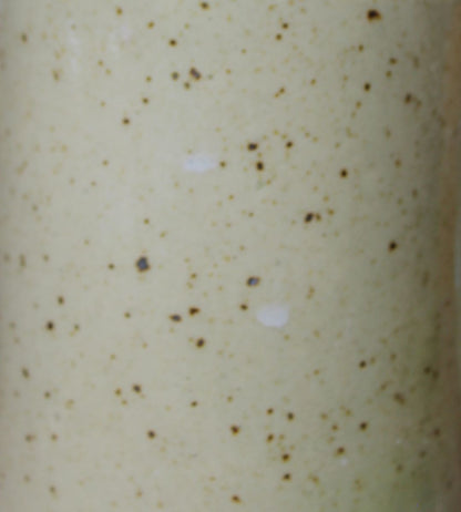 Taza Meridiano Moteada